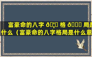 富豪命的八字 🦄 格 🍀 局是什么（富豪命的八字格局是什么意思）